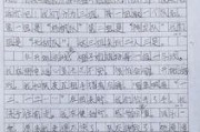 吃瓜乐作文400字